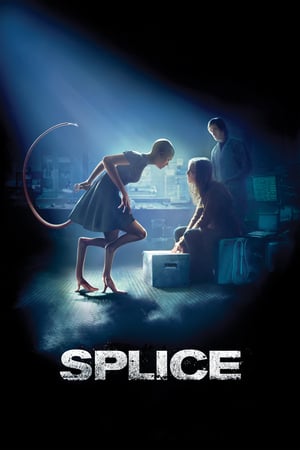 Watching Splice Movie Online