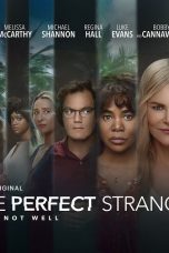Nine Perfect Stranger Season 1