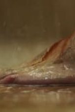 Who Killed Sara? Season 2 Episode 5