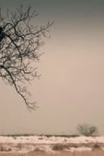 Swallow Storm Season 1 Episode 4