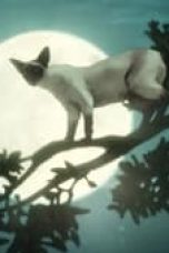 The Sandman Season 1 Episode 11