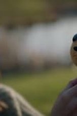 Lost Ollie Season 1 Episode 4