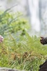 Vikings Season 2 Episode 10