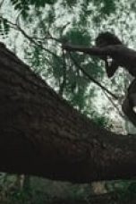 Aar Ya Paar Season 1 Episode 8