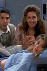 Friends Season 1 Episode 2