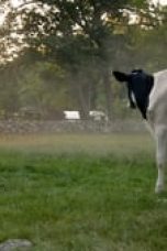 Bull Season 1 Episode 4