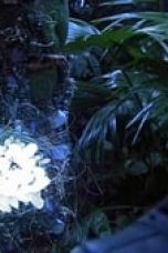 Stargate Atlantis Season 4 Episode 4