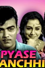 Payaase Panchhi 1961