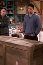 Friends Season 4 Episode 8