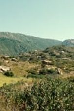 BEEF Season 1 Episode 10