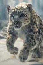 His Dark Materials Season 3 Episode 7