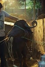 Hostel Daze Season 2 Episode 4