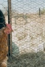 The Power Season 1 Episode 4