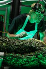 Swamp Thing Season 1 Episode 9