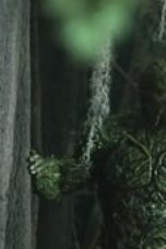 Swamp Thing Season 1 Episode 5
