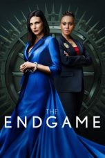 Movie poster: The Endgame 2022