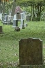 Rabbit Hole Season 1 Episode 1