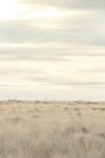 Breaking Bad Season 3 Episode 13