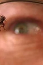 Breaking Bad Season 3 Episode 10