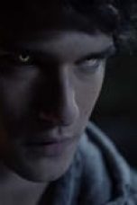 Teen Wolf Season 1 Episode 8