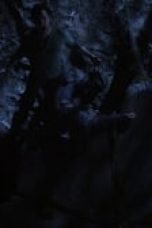 Teen Wolf Season 3 Episode 12