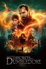Fantastic Beasts: The Secrets of Dumbledore 16122023