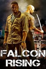 Falcon Rising 17122023