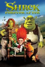 Shrek Forever After 18122023