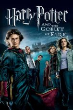 Harry Potter and the Goblet of Fire 04042023