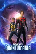 Ant-Man and the Wasp: Quantumania 08012024