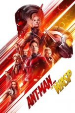 Ant-Man and the Wasp 082024