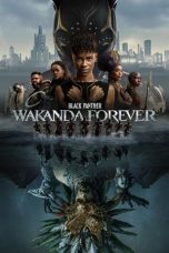Black Panther: Wakanda Forever 082024