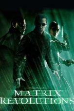 The Matrix Revolutions 17012024