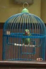 Maamla Legal Hai Season 1 Episode 4