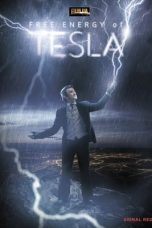 Tesla’s Free Energy, the Race to Zero Point 2013