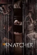 The Snatcher 2024