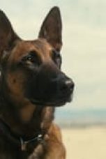 Fallout Season 1 Episode 7